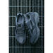 MXR TECH UNISEX Light Grey / Metallic Grey