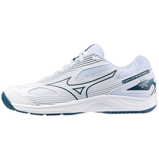 Mizuno volleyball hotsell shoes singapore