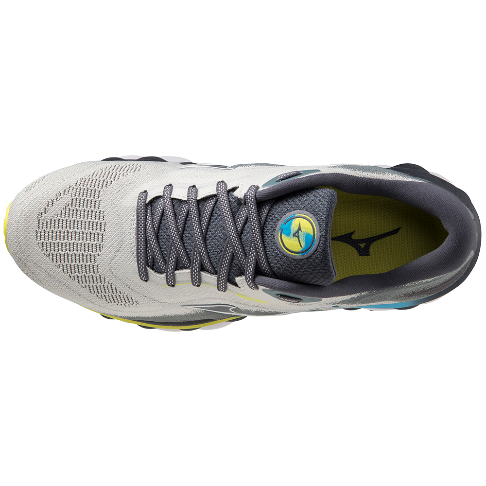 Mizuno wave sky 2 top vs wave rider 22