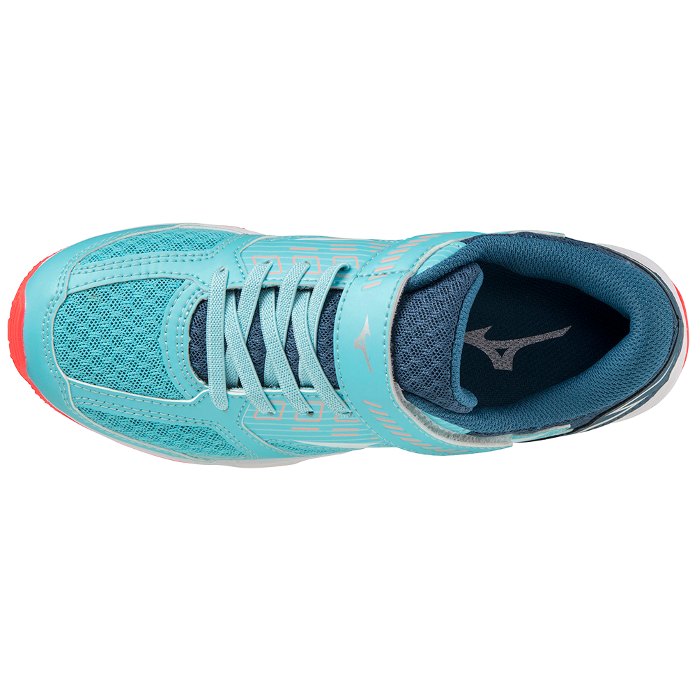 SPEED STUDS 3 BELT JR Light Blue / White / Pink