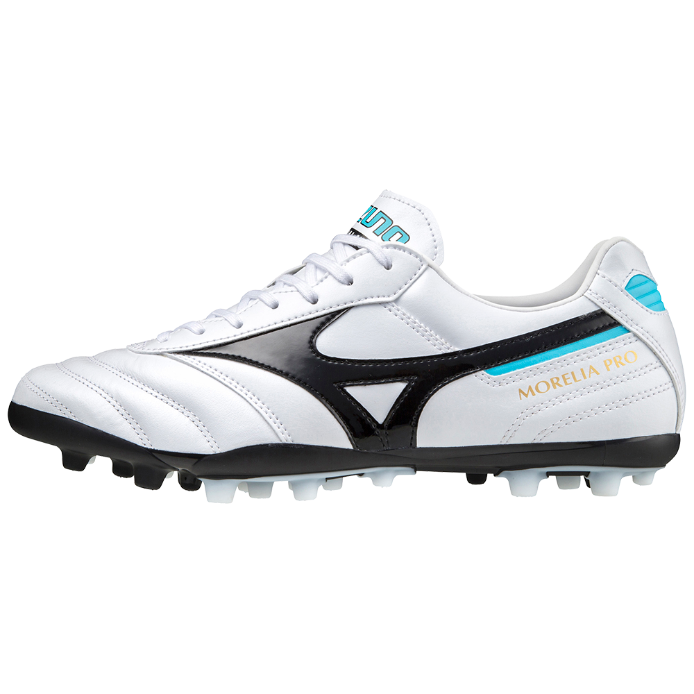 MORELIA II PRO AG