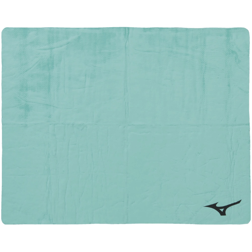 ABSORBENT TOWEL Green