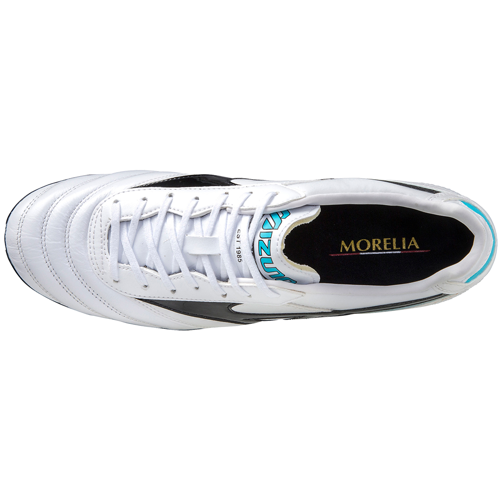Mizuno morelia 2 2025 pro