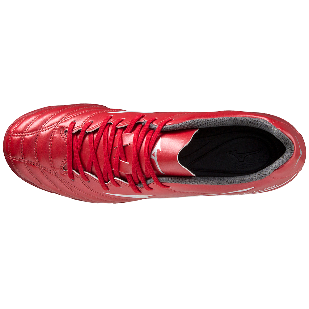 MONARCIDA NEO II SELECT AS High Risk Red / White