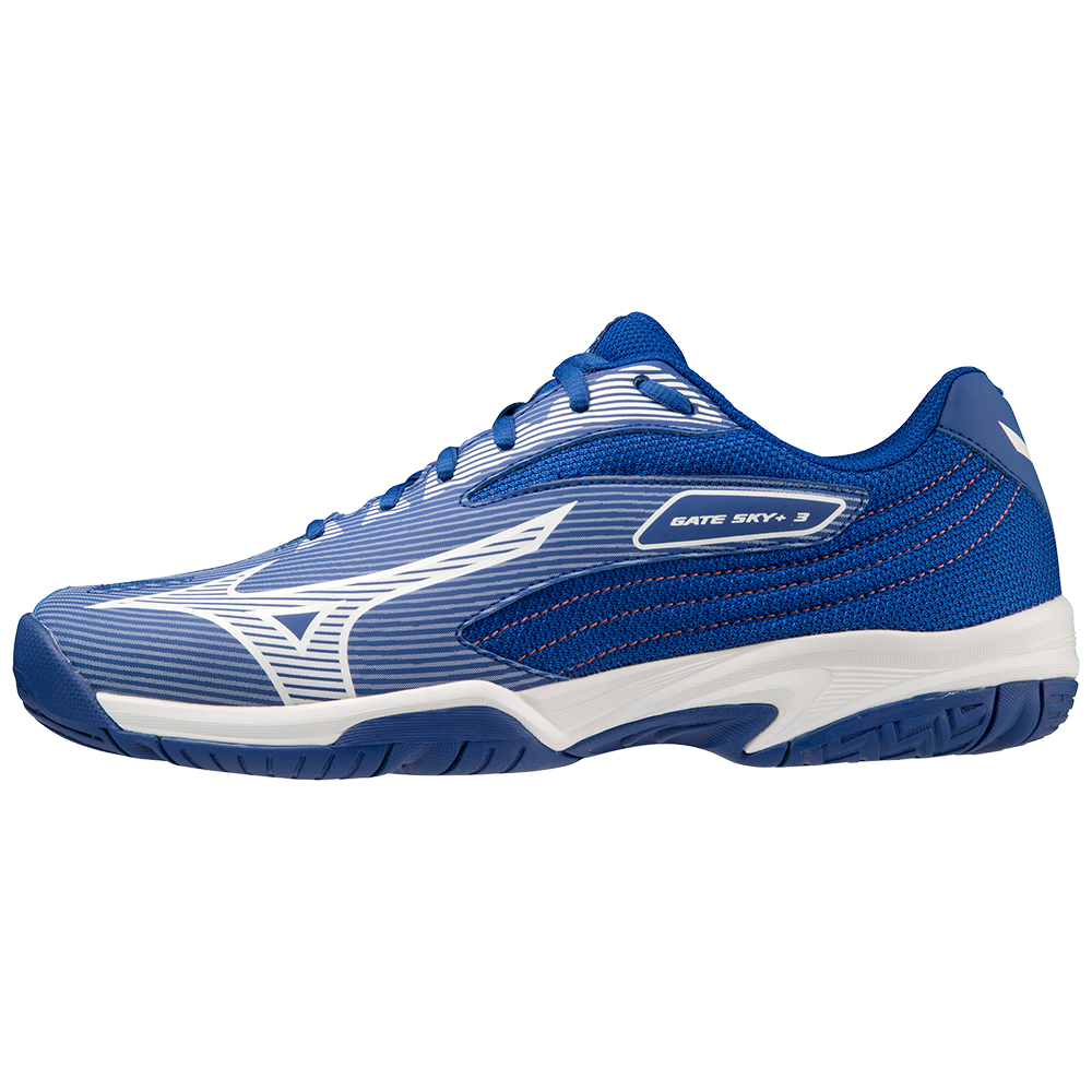 Mizuno wave gate 3 online
