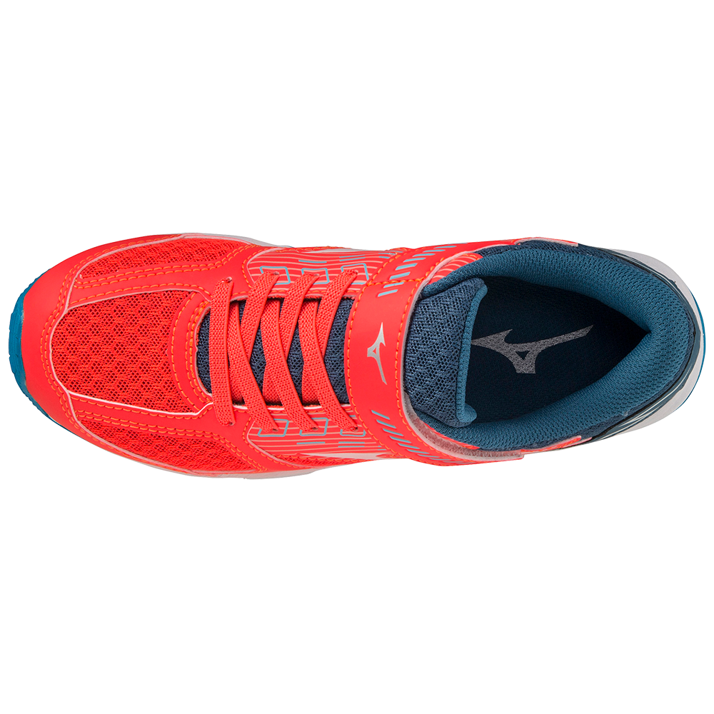 SPEED STUDS 3 BELT JR Coral Red / White / Light Blue