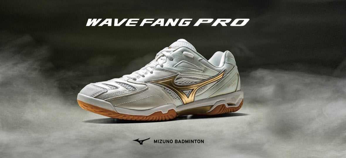 mizuno wave fang rv review