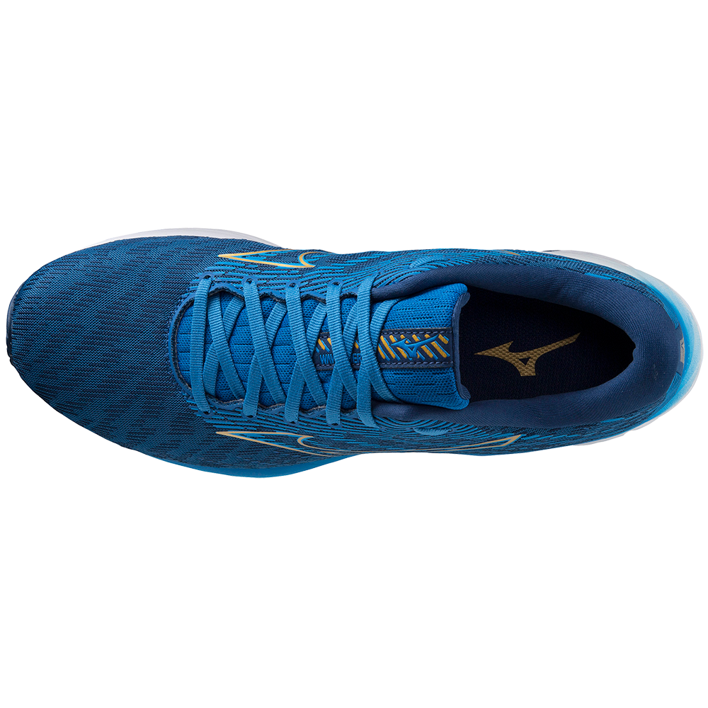 WAVE RIDER 26 MEN Snorkel Blue / MP Gold / Estate Blue