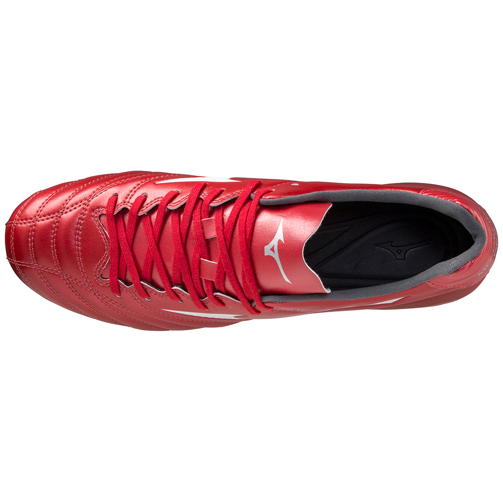 MONARCIDA NEO II PRO High Risk Red / White