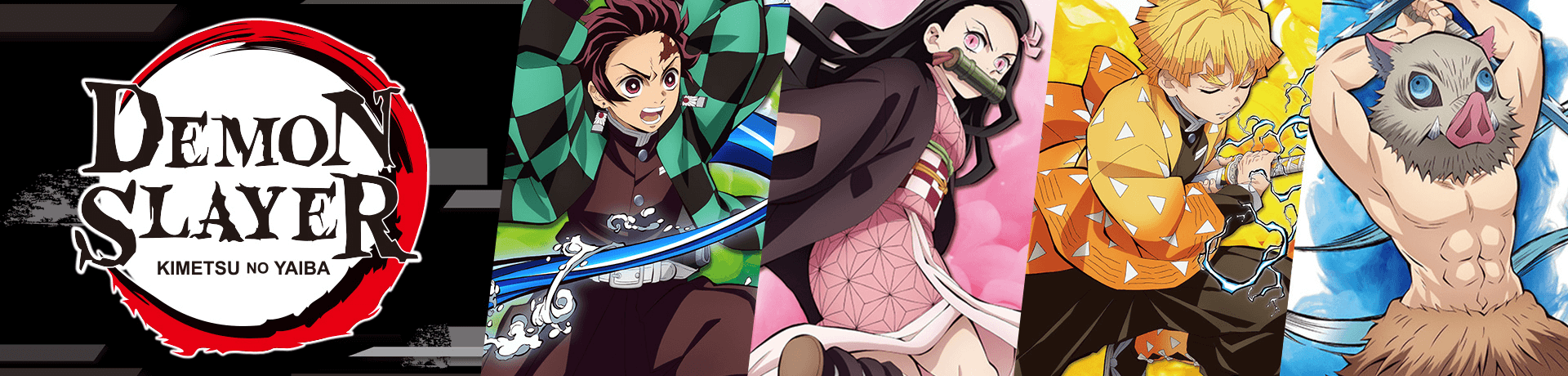 DEMON SLAYER: KIMETSU NO YAIBA LICENSED SERIES