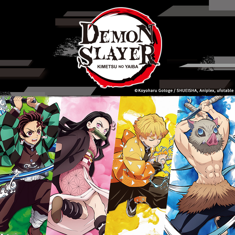 DEMON SLAYER: KIMETSU NO YAIBA LICENSED SERIES