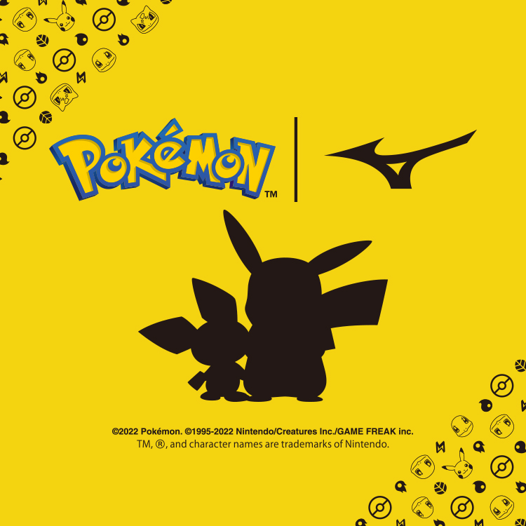 POKEMON LICENSED SERIES