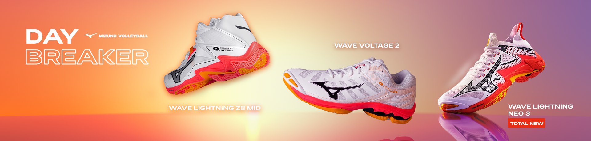Volleyball Shoes