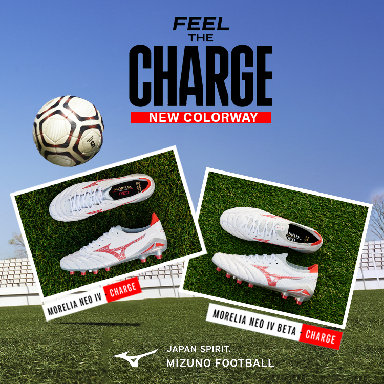 MORELIA NEO IV CHARGE PACK